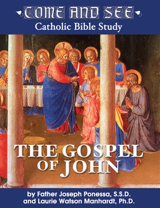 Come and See: The Gospel of John DVD