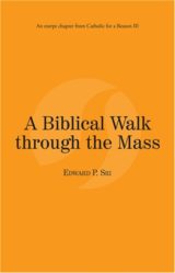 A Biblical Walk through the Mass eBook