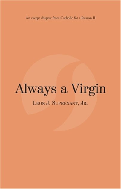 Always a Virgin eBook