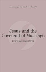 Jesus and the Covenant of Marriage eBook