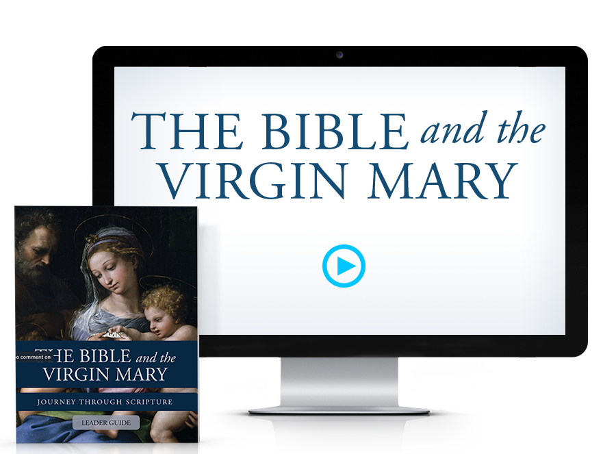 The Bible and the Virgin Mary Leader Bundle