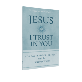jesus i trust in you 3d