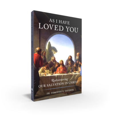 As I Have Loved You Book Cover
