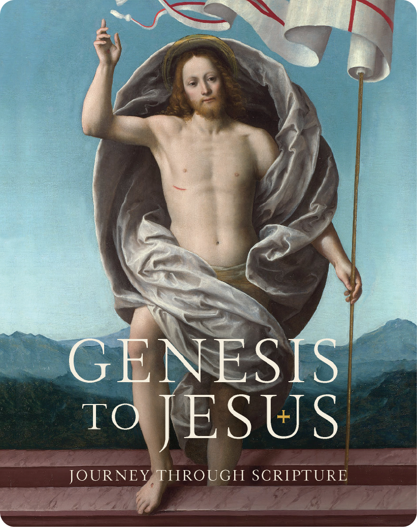 Genesis to Jesus Participant Workbook