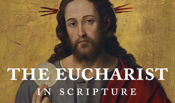The Eucharist in Scripture