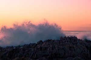 Regis Martin, Witness to Wonder, Catholic Sacrament, blessed by creation